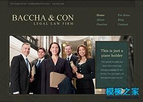 律师行业企业网站模板