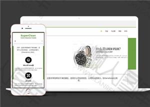 绿色名牌手表销售html5网站模板