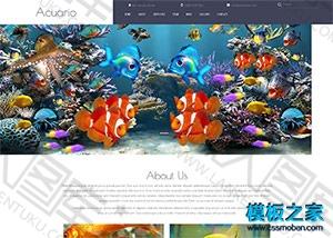 海底世界公司网站模板