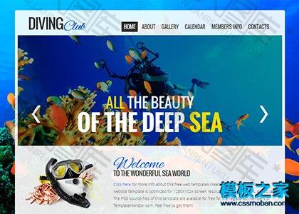 海洋动物乐园企业网站模板图2
