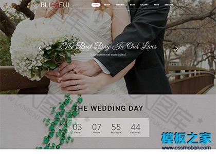 WEDDING婚纱照展示网站模板图2