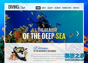 海洋动物乐园企业网站模板