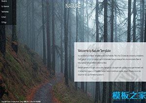 大自然森林网站模板