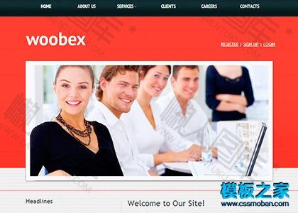 大图幻灯商业企业网站模板图2