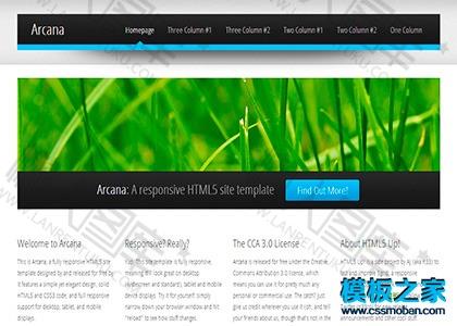 简单html5动态网页模板图2