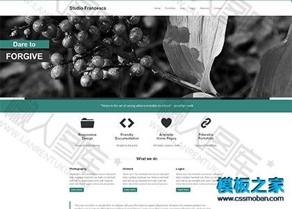 监控器材企业网站模板图2
