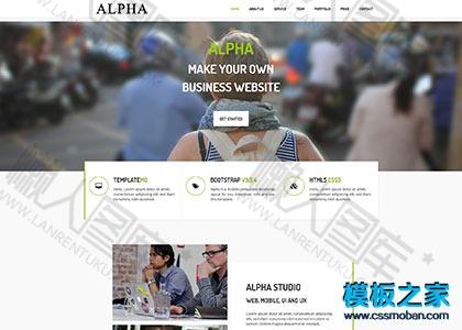 商业咨询公司css3网站模板图2