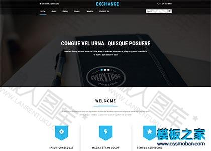 商务市场营销公司网站模板图2