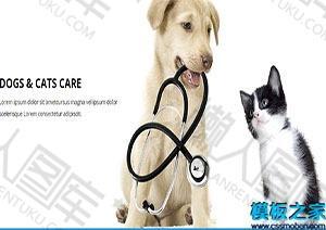 宠物护理诊所网站模板