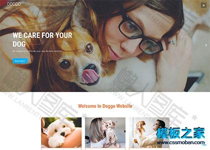 爱犬俱乐部企业网站模板图2