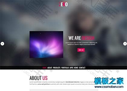 web设计开发者单页模板图2