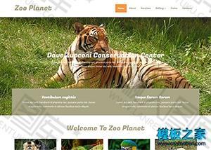 动物园网站设计模板
