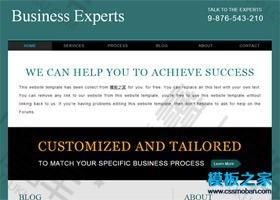 商业企业网站模板