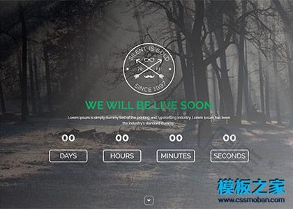 文艺风bootstrap响应式网站模板图2
