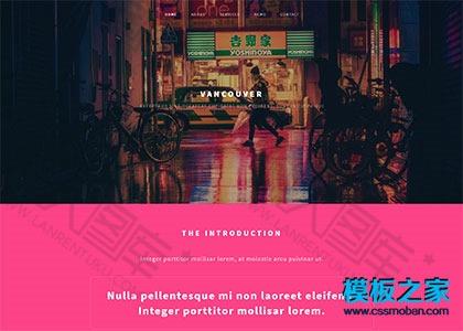 SEO专题推广网站模板图2