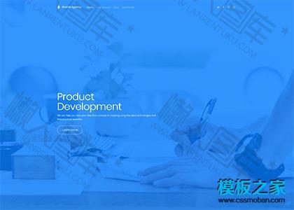 Development开发者网页模板图2