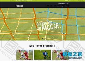 足球运动网站模板
