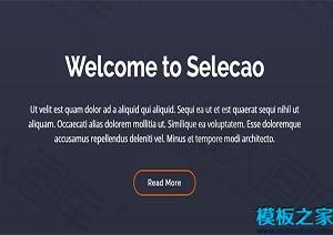 Selecao框架便捷响应式网站模板