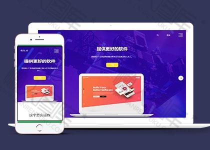 软件服务提供商网站模板图2