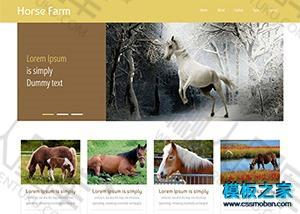 棕色动物宠物企业网站模板