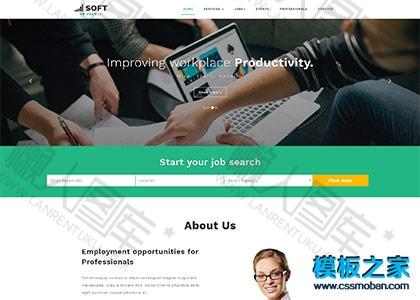 soft商务软件开发公司官网模板图2