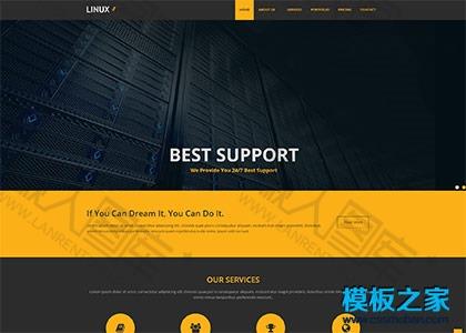 linux虚拟主机提供商网站模板图2