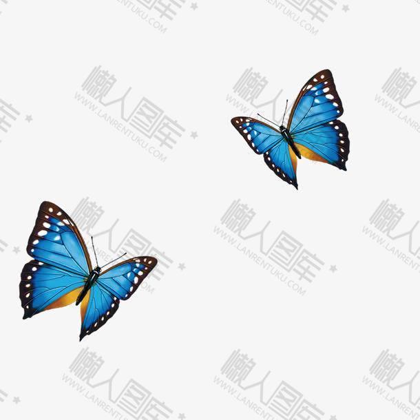 两只蓝色蝴蝶