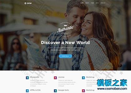 软件开发公司响应式模板图2