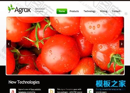果蔬农业产品企业网页模板图2