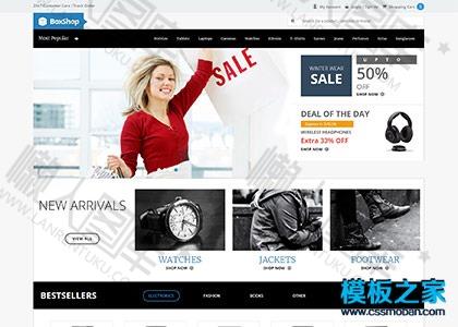 手表奢侈品购物商城模板图2