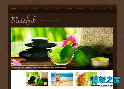 美容养生网站源码图2