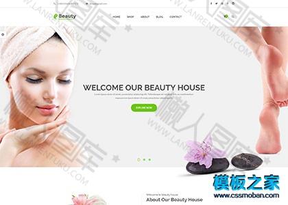 美容养生行业网站模板图2
