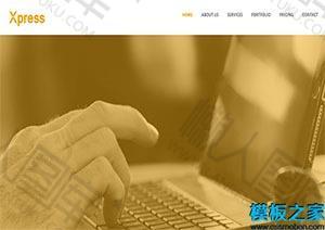 金色UI平面设计网站模板