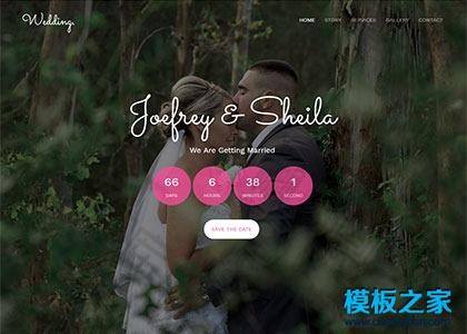 欧式婚庆公司网站模板图2