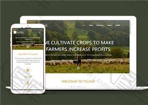 农业耕作网站单页面HTML5模板