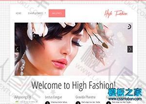 美容时尚响应式网站整站模板
