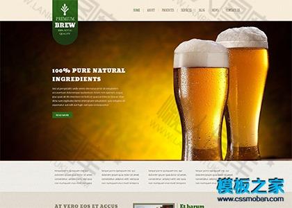 雪花啤酒饮料公司网站模板图2