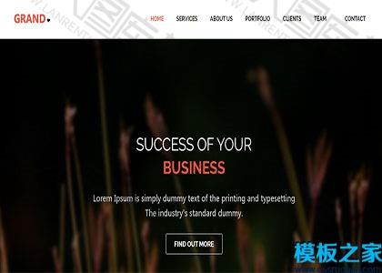 多用途商务咨询web网站模板图2