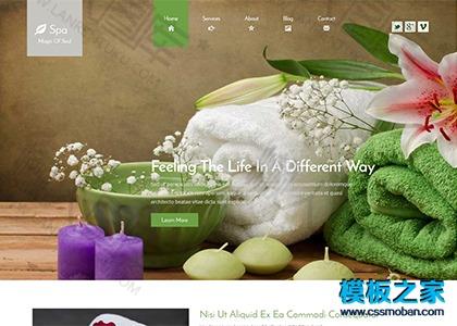 养生会所html5网站模板图2