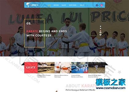 少儿跆拳道培训班网站模板图2