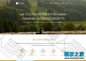 农业蔬果培育技术企业网站模板