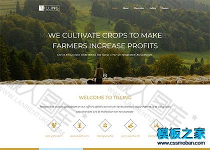 农业蔬果培育技术企业网站模板图2
