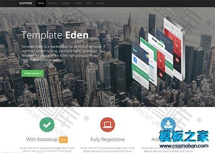bootstrap引导页html5网站模板图2