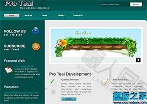 pro teal专业设计网站模板