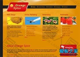 黄色水果蔬菜行业网站模板