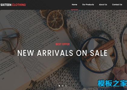 服装新品上市报价网站模板图2