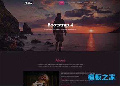 bootstrap4产品展示型网站模板图2