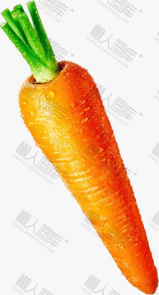 胡萝卜免抠矢量图
