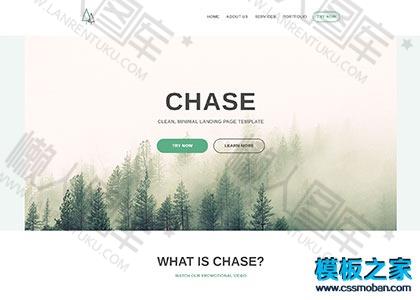 VIP付费产品html5模板图2