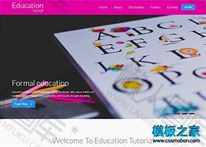 教育培训公司网站模板